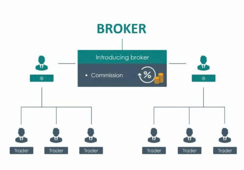IB Forex là gì? Cơ hội hay rủi ro cho trader mới?
