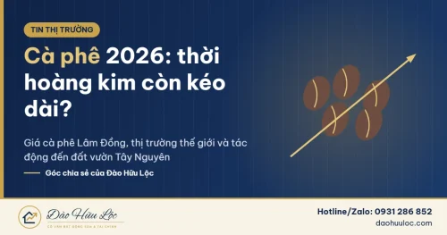 Giá cà phê 2026 – thời hoàng kim của cây cà phê