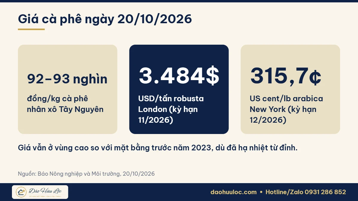 Giá cà phê tháng 10/2026