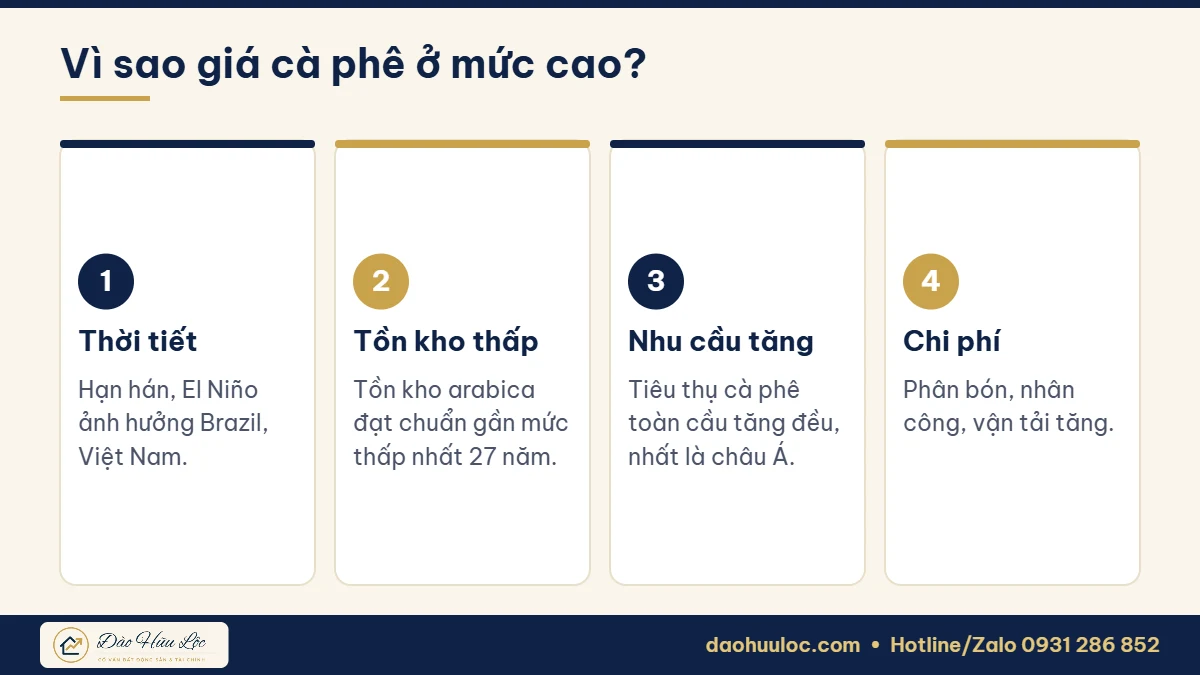 Nguyên nhân giá cà phê tăng cao